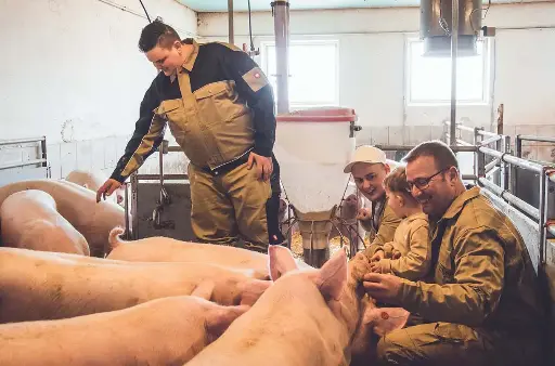 Workshop - Kann Schweinemast noch rentabel sein?